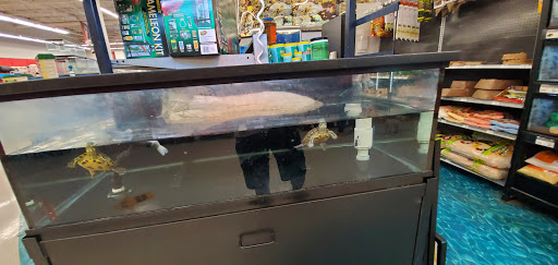 Pet Supply Store «Petco Animal Supplies», reviews and photos, 181 North 545 West, West Bountiful, UT 84087, USA