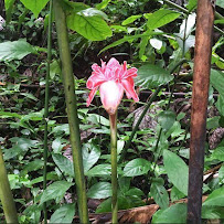 Best Puerto Rico Tours - Photo 9 - Car repair in , San Juan