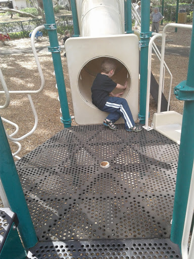 Park «Scotty Cooper Park», reviews and photos, 10849 Carrollwood Dr, Carrollwood, FL 33618, USA