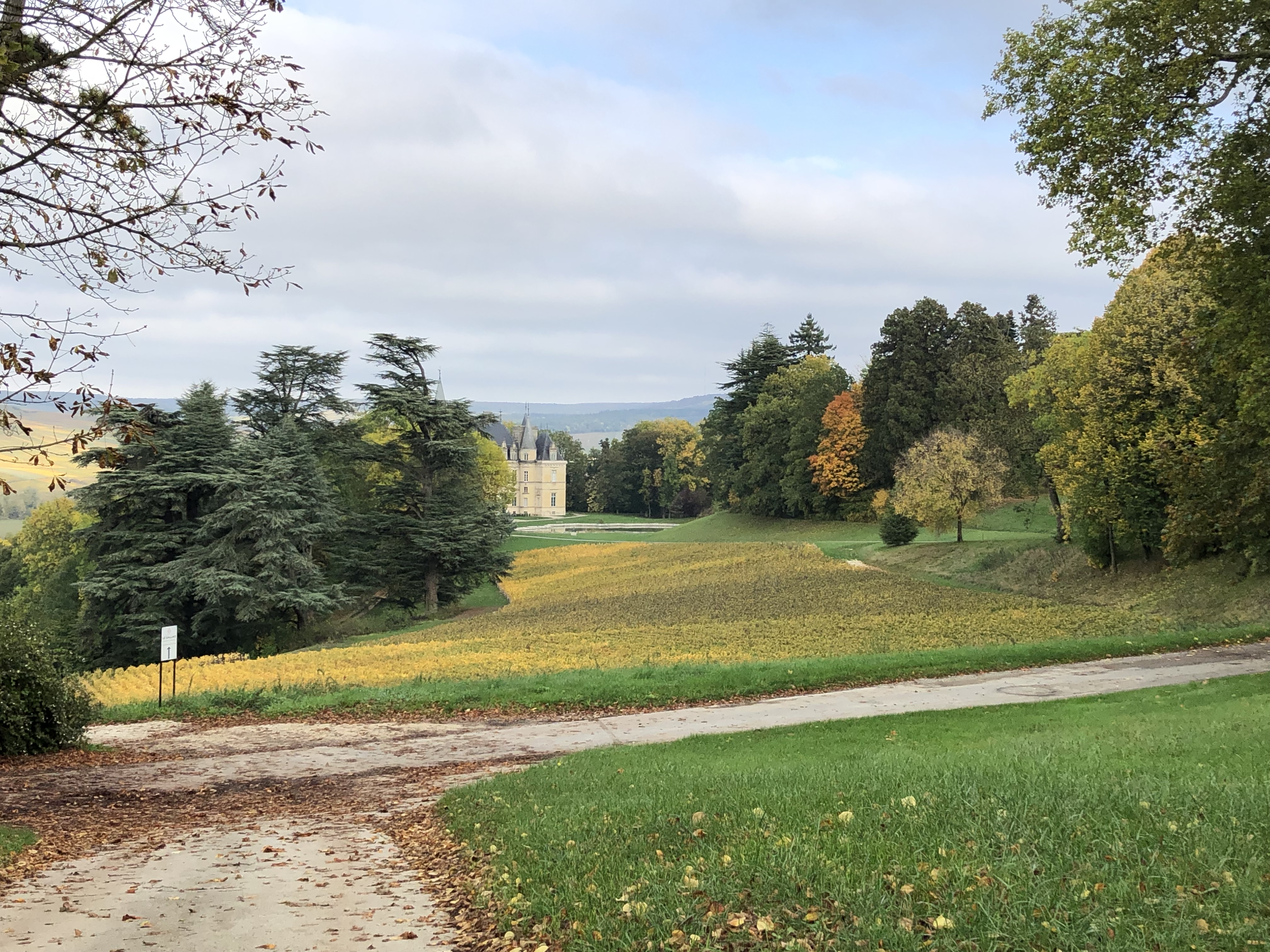 Photo n° 2 de l'avis de SERGIO.O fait le 19/10/2022 à 15:38