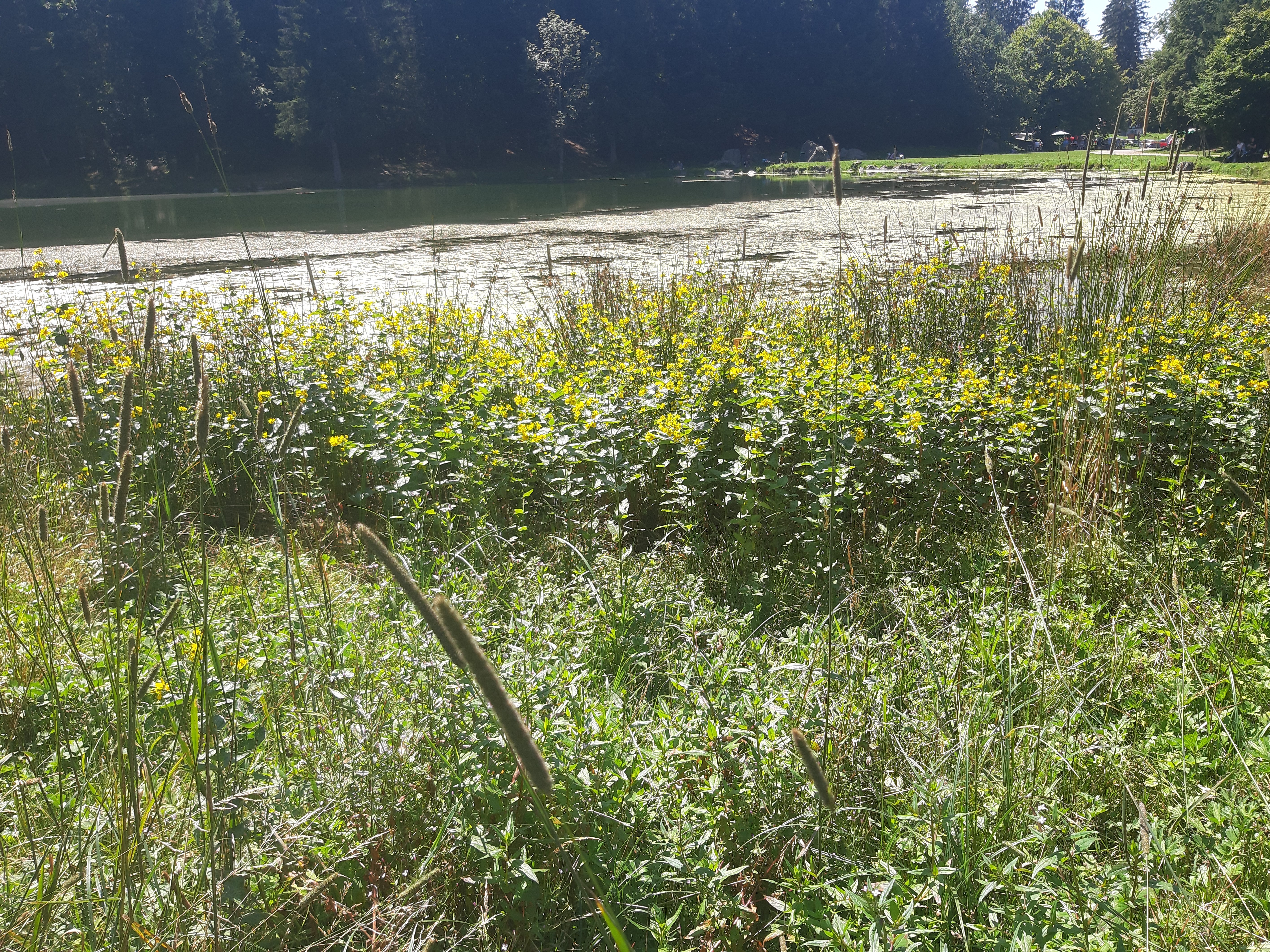 Photo n° 5 de l'avis de Véronique.r fait le 27/08/2021 à 19:49