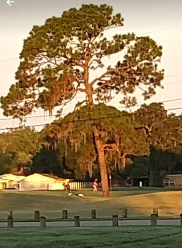 Golf Course «Babe Zaharias Golf Course», reviews and photos, 11412 Forest Hills Dr, Tampa, FL 33612, USA