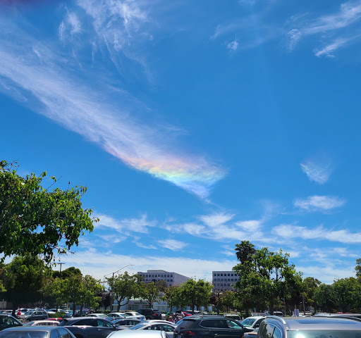 Warehouse store «Costco Wholesale», reviews and photos, 1001 Metro Center Blvd, Foster City, CA 94404, USA