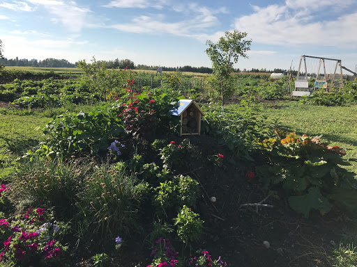 Poultry farm Edmonton