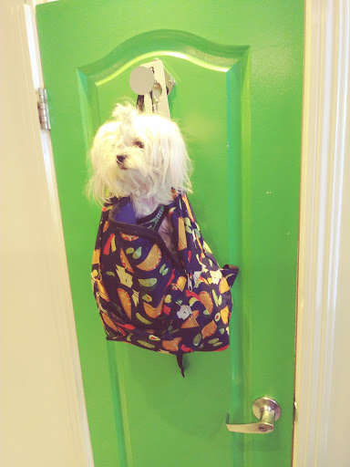 Pet Supply Store «Unleashed by Petco», reviews and photos, 308 Washington St, San Diego, CA 92103, USA