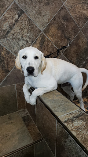 Pet Store «Pet Valu», reviews and photos, 773 Huntingdon Pike, Huntingdon Valley, PA 19006, USA