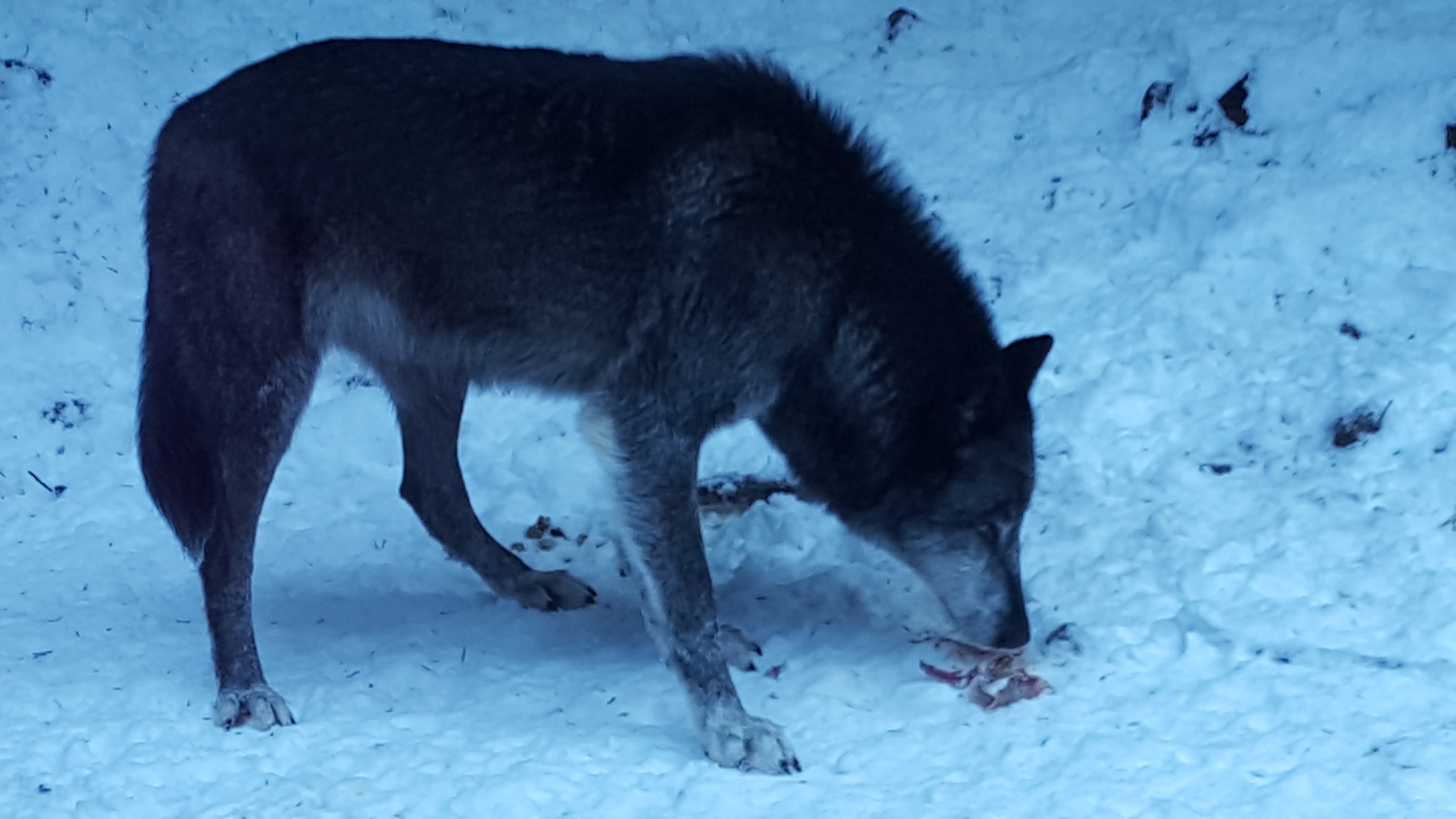 Photo n° 8 de l'avis de Pacôme.l fait le 16/01/2017 à 15:09