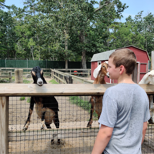 Tourist Attraction «Tree To Tree Cape May», reviews and photos, 707 U.S. 9, Cape May Court House, NJ 08210, USA