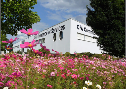 Centre de formation d'apprentis C.F.A. Commerce et Services Blagnac