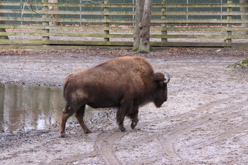 Zoo «Cape May County Park & Zoo», reviews and photos, 707 U.S. 9, Cape May Court House, NJ 08210, USA