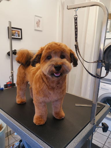 Randis Hundesalon in Smorum, Egedal