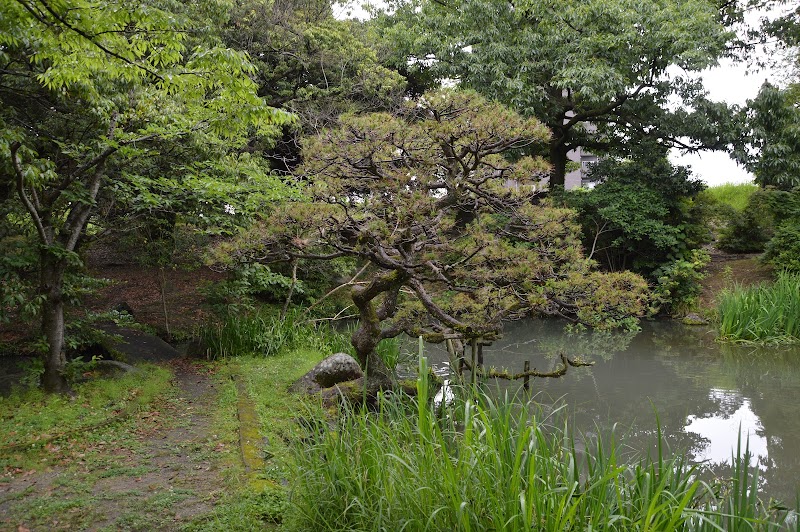 松井神社の茶庭