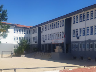 Dr.Nilüfer özyurt Anadolu lisesi