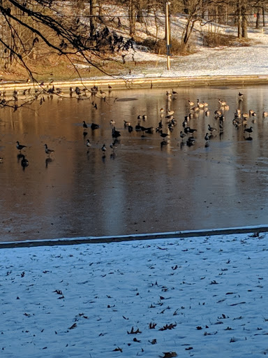 Park «Veterans Memorial Park», reviews and photos, 6328 State Road, Parma, OH 44134, USA