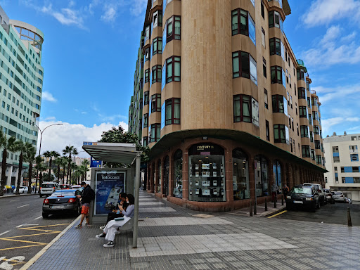 Promotoras inmobiliarias en Las Palmas de Gran Canaria de 2024