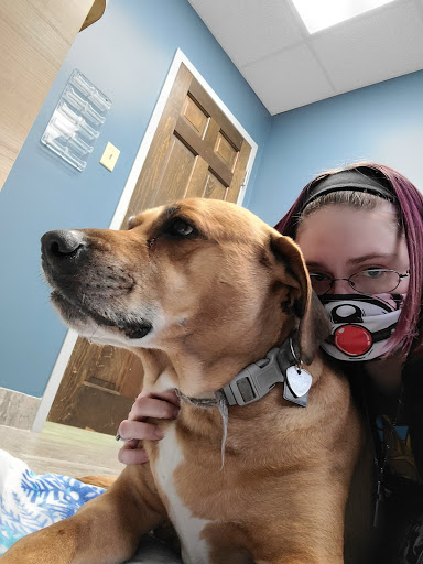 Noah's Animal Hospital & 24 HR Emergency Center image