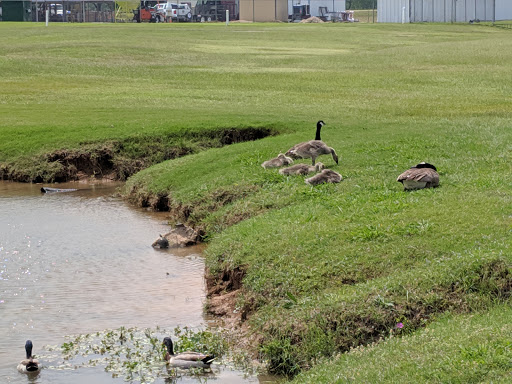 Golf Club «Lake Park Golf Club», reviews and photos, 6 Lake Park Rd, Lewisville, TX 75057, USA