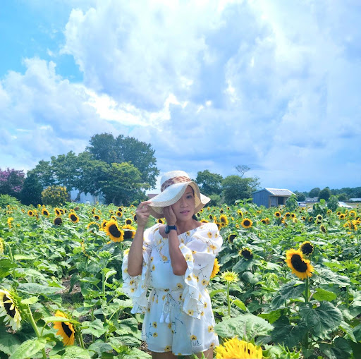 Fruit and Vegetable Store «Henley Farm», reviews and photos, 3513 Charity Neck Rd, Virginia Beach, VA 23456, USA