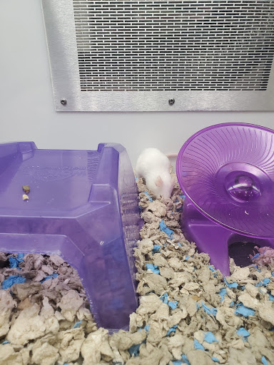 Pet Supply Store «Petco Animal Supplies», reviews and photos, 2000 NE Burnside Rd, Gresham, OR 97030, USA