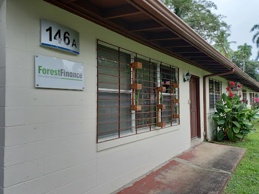 Forest finance panama