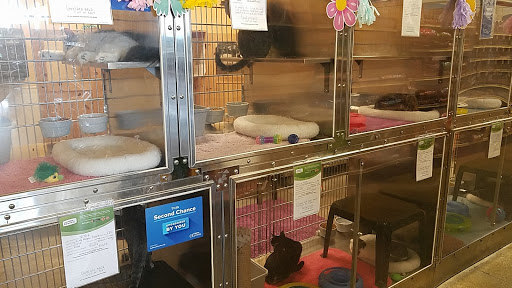 Pet Supply Store «PetSmart», reviews and photos, 4794 Jimmy Lee Smith Pkwy #108, Hiram, GA 30141, USA