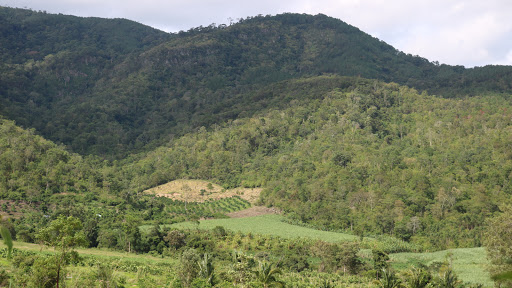 Top 20 cửa hàng loa nansin Huyện Đăk Pơ Gia Lai 2022