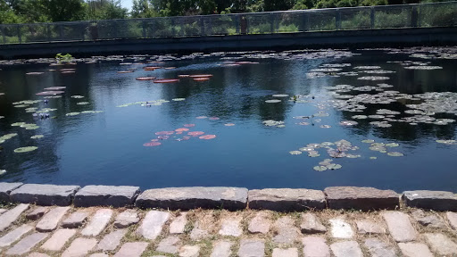 Park «Garfield Park Conservatory», reviews and photos, 300 N Central Park Ave, Chicago, IL 60624, USA