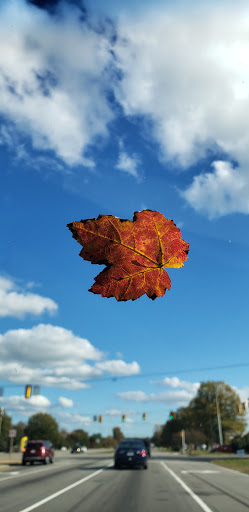 Department Store «Marshalls», reviews and photos, 1142 Temple Ave, Colonial Heights, VA 23834, USA