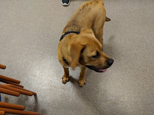 Pet Supply Store «PetSmart», reviews and photos, 2534 South Rd, Poughkeepsie, NY 12601, USA