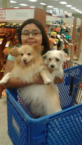 Pet Supply Store «PetSmart», reviews and photos, 7475 Greenbelt Rd, Greenbelt, MD 20770, USA