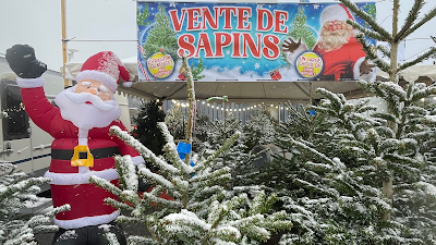 Vente de Sapins Commercy à Commercy