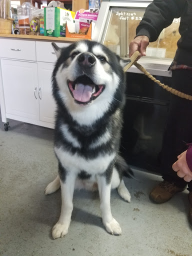 Pet Supply Store «Cheshire Cat & Dog Too», reviews and photos, 1320 Waterbury Rd, Cheshire, CT 06410, USA