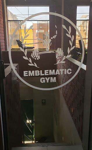 Emblematic gym fitness