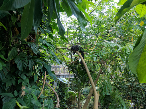 Zoo «Rainforest Pyramid», reviews and photos, 1 Hope Blvd, Galveston, TX 77554, USA