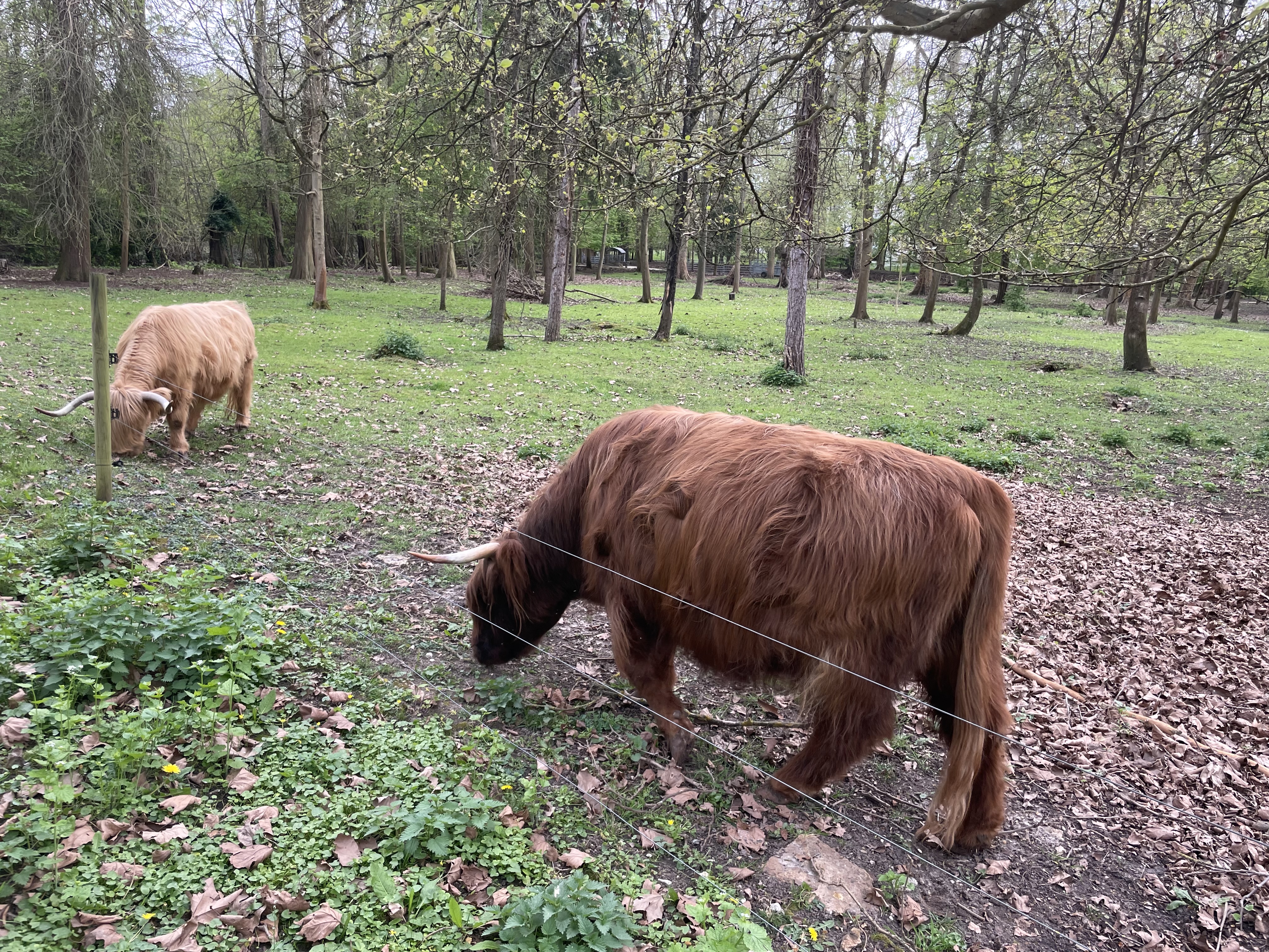 Photo n° 1 de l'avis de Charlotte.I fait le 29/01/2023 à 00:24