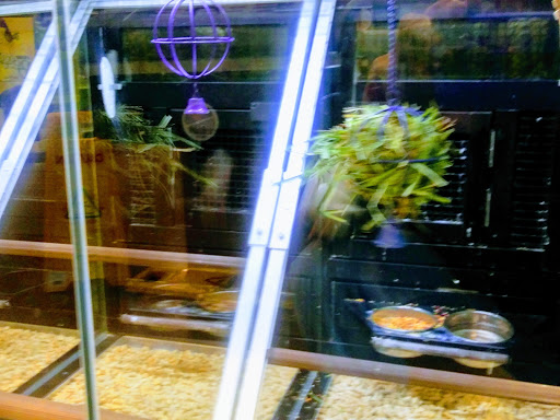 Pet Supply Store «PetSmart», reviews and photos, 7765 Airport Blvd #901, Mobile, AL 36608, USA