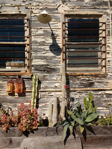 Gift Shop «GENERAL STORE», reviews and photos, 4035 Judah St, San Francisco, CA 94122, USA