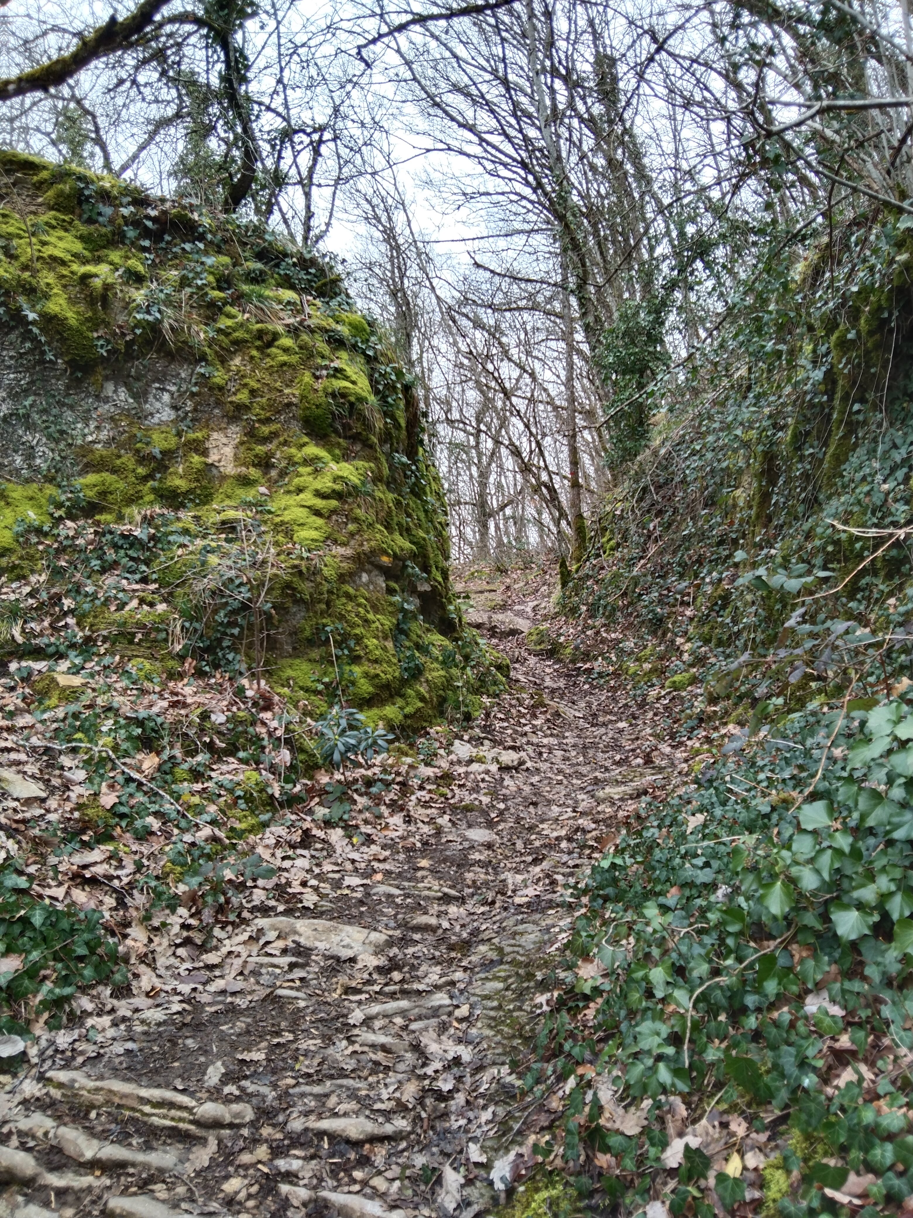 Photo n° 8 de l'avis de Véronique.e fait le 10/03/2024 à 08:15