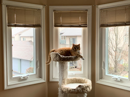 Window Installation Service «Window World», reviews and photos