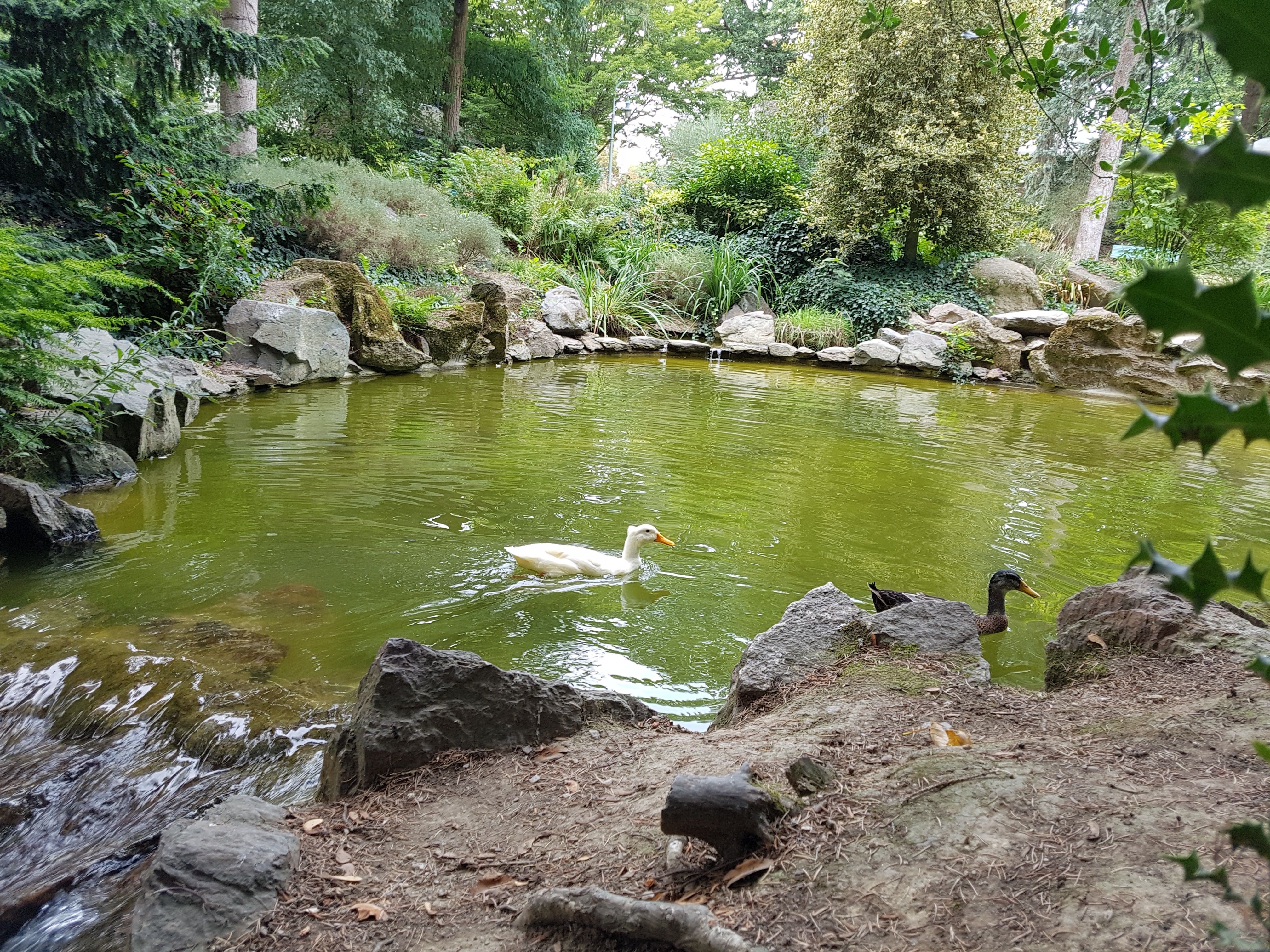 Photo n° 1 de l'avis de Yann. fait le 26/08/2017 à 14:19
