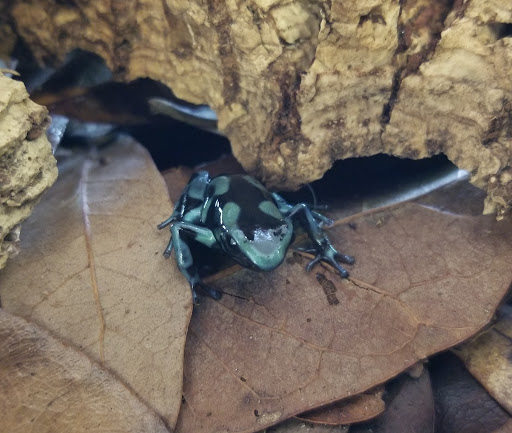 Pet Store «Pet Malls», reviews and photos, 11691 Boyette Rd, Riverview, FL 33569, USA