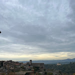 Photo n°6 de l'avis de Nikola.e fait le 17/12/2022 à 09:58 sur le  Ristorante Sibilla à Tivoli