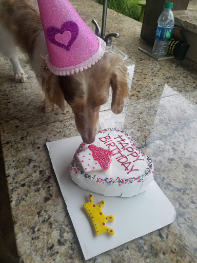 Pet Store «Fetch & Friskers Barkery and Bow-tique», reviews and photos, 701 S Main St, Boerne, TX 78006, USA