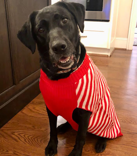 Home Insurance Agency «State Farm: Susanna Nunn», reviews and photos