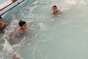 Dolphin Swimming Pool image