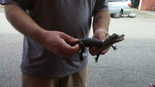 Pet Supply Store «Higbie Farm Supplies Inc», reviews and photos, 3440 Union St, North Chili, NY 14514, USA