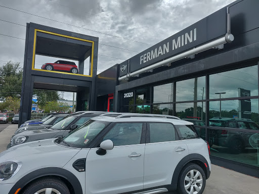 Car Dealer «Ferman MINI of Tampa Bay», reviews and photos, 31320 US-19, Palm Harbor, FL 34684, USA