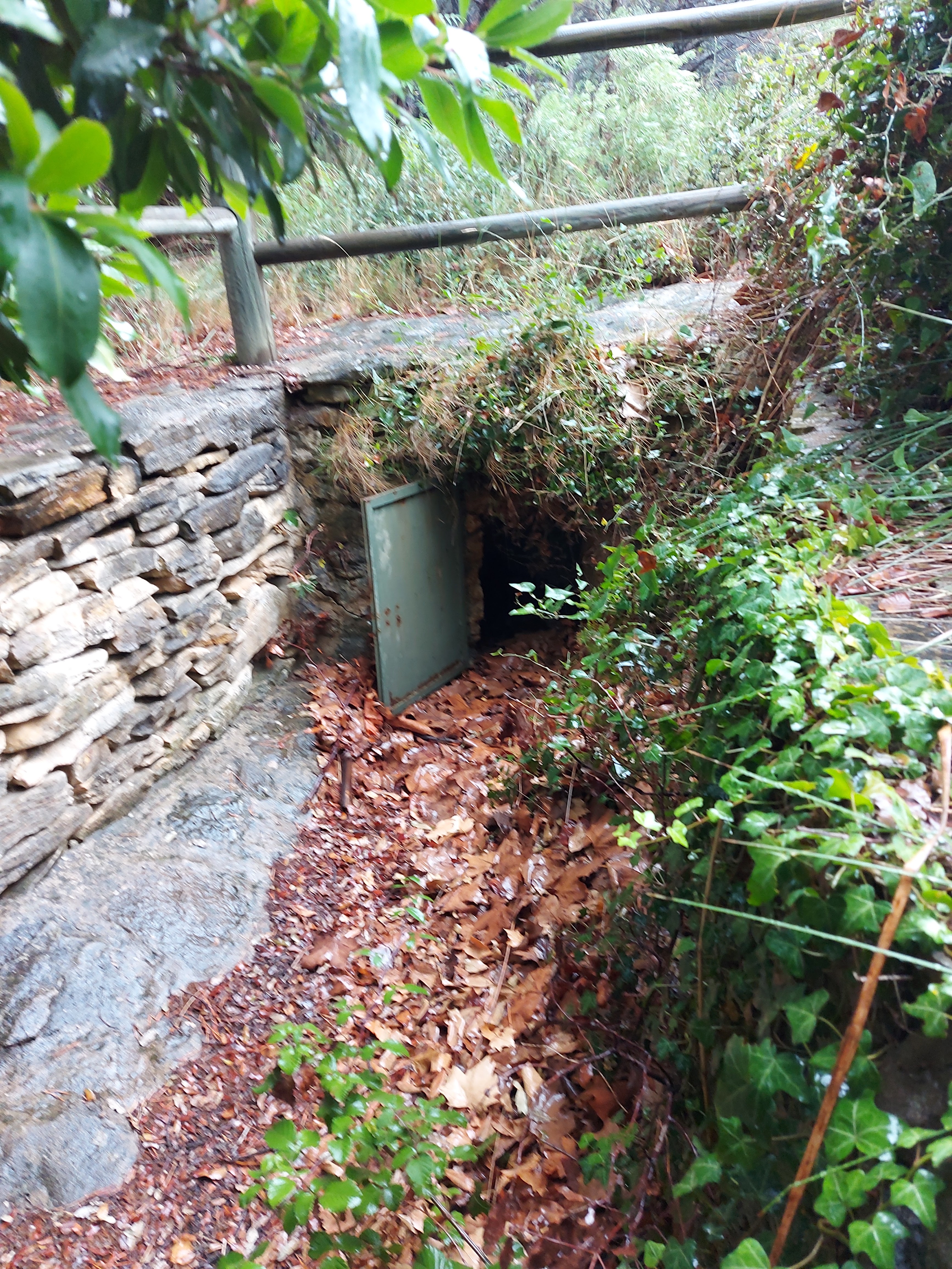 Photo n° 2 de l'avis de Baptiste. fait le 10/08/2021 à 19:07