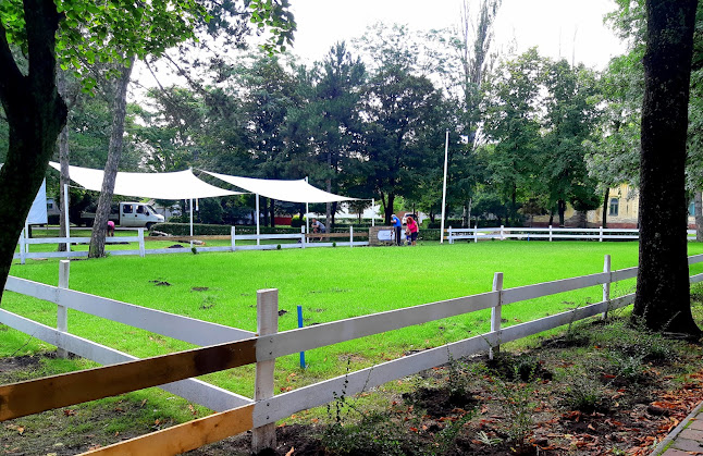 Családi Park & Piknik - Familien Park & Piknik - Szórakozóhely