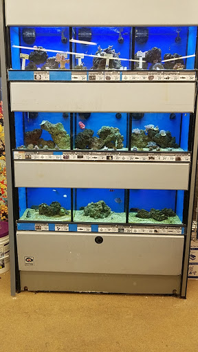 Pet Supply Store «Petco Animal Supplies», reviews and photos, 3320 Stockton Hill Rd, Kingman, AZ 86409, USA